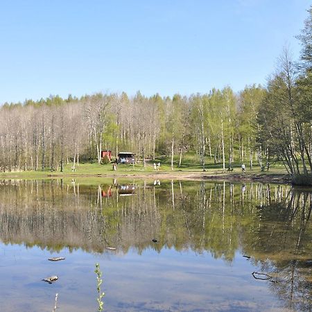 Furusjöns Cottage Ånimskog Exteriör bild