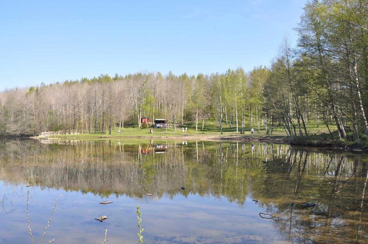 Furusjöns Cottage Ånimskog Exteriör bild
